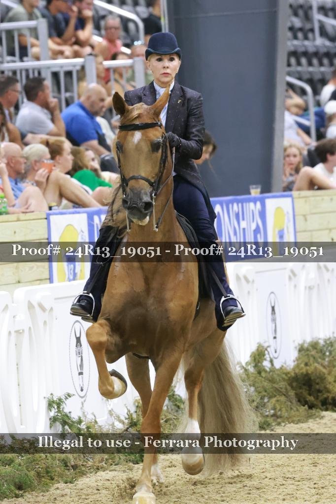 Proof 24R13_19051