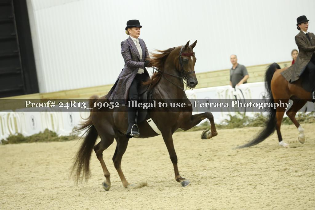 Proof 24R13_19052
