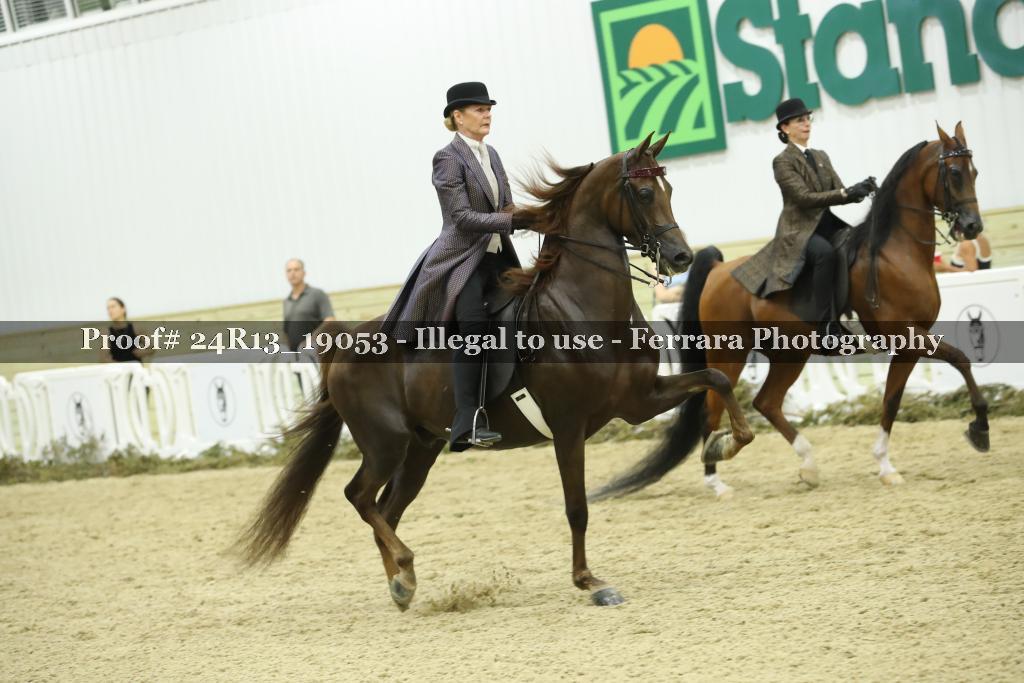 Proof 24R13_19053