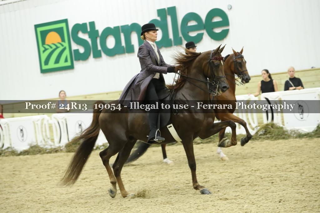 Proof 24R13_19054