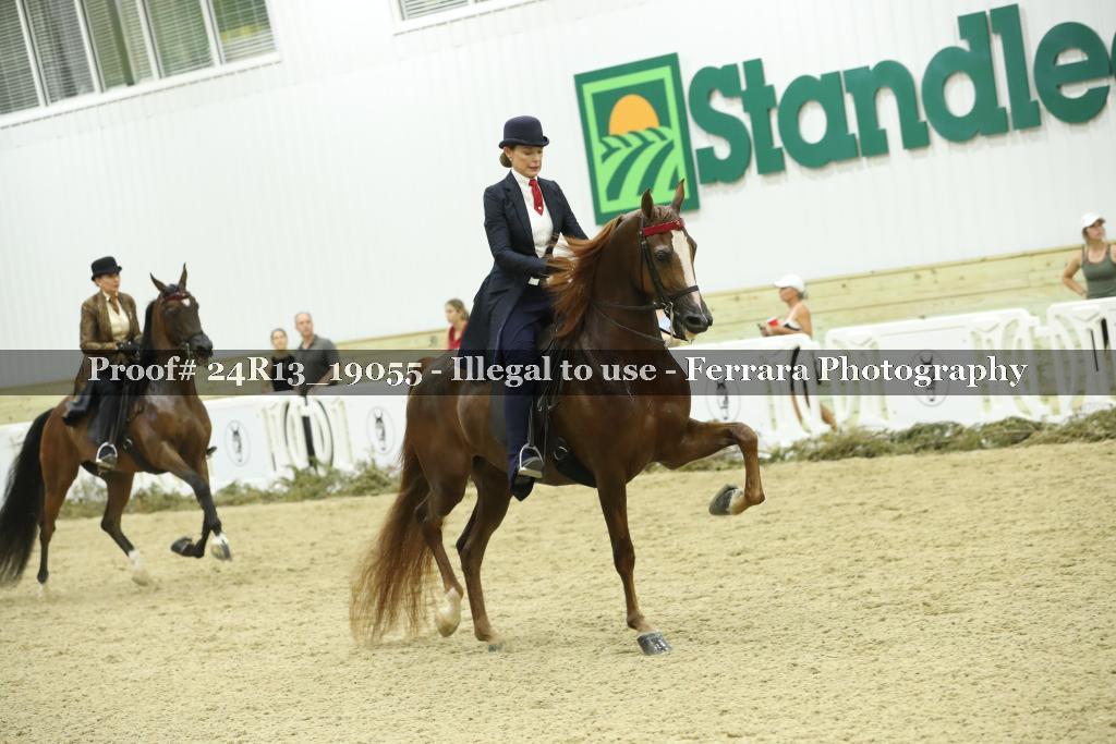 Proof 24R13_19055