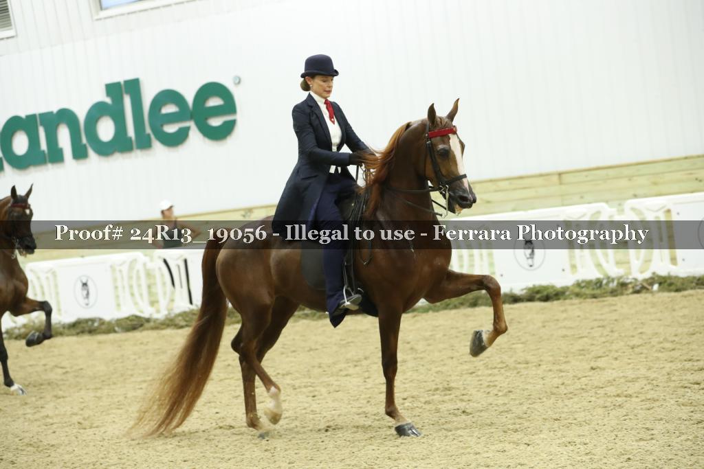 Proof 24R13_19056