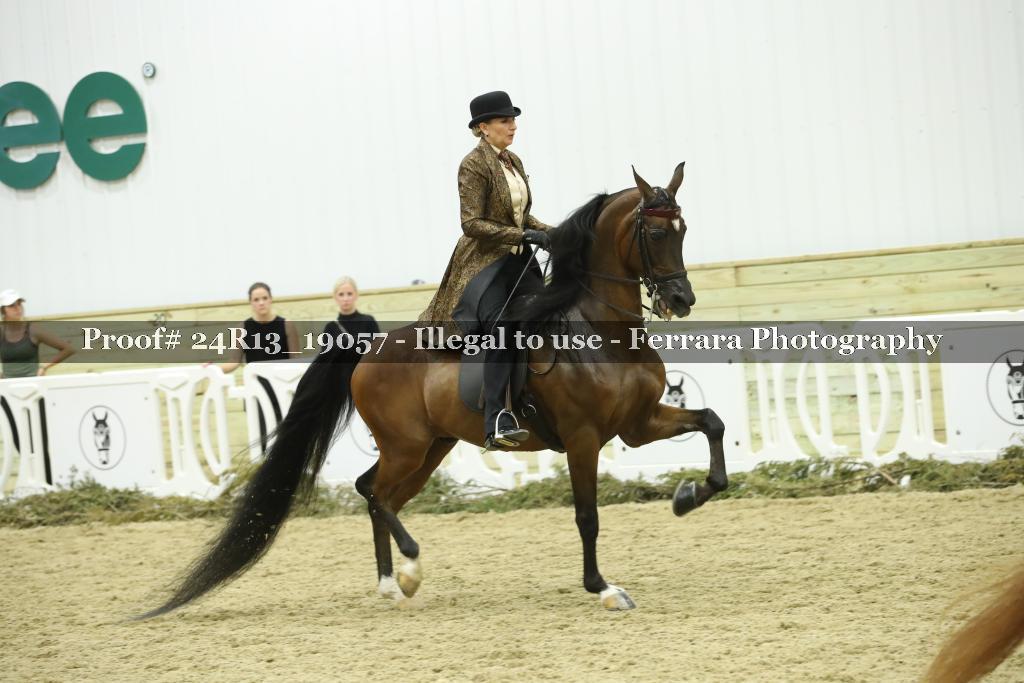 Proof 24R13_19057