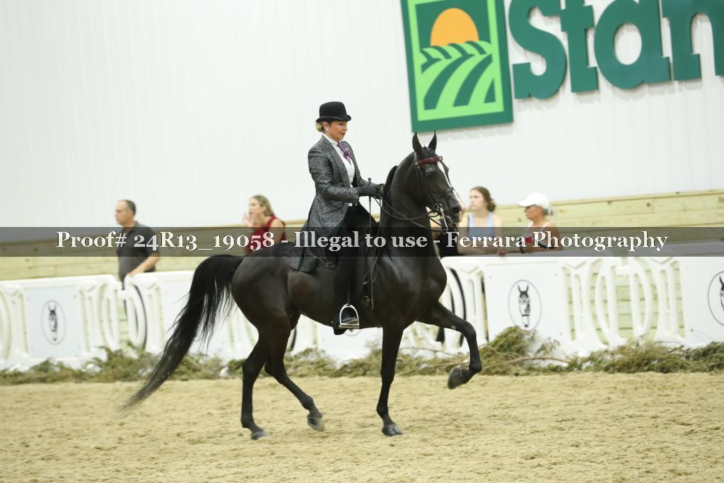 Proof 24R13_19058
