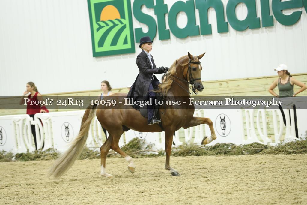 Proof 24R13_19059
