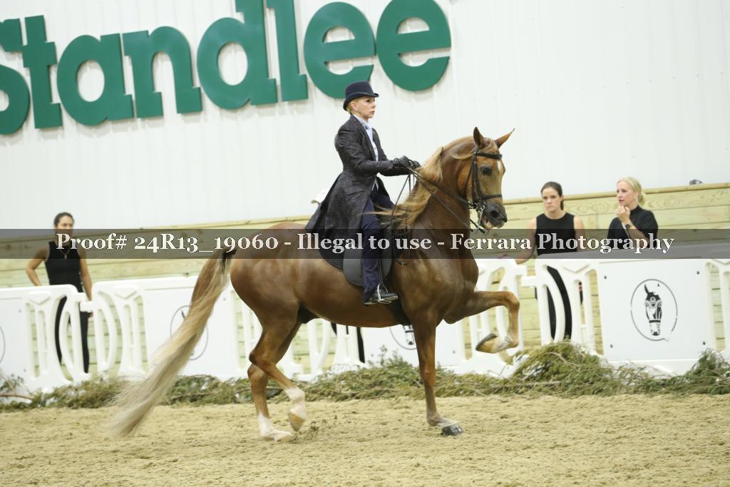 Proof 24R13_19060