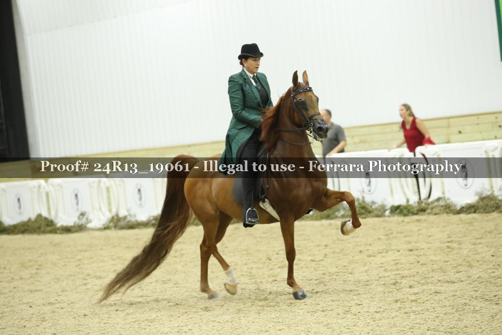 Proof 24R13_19061