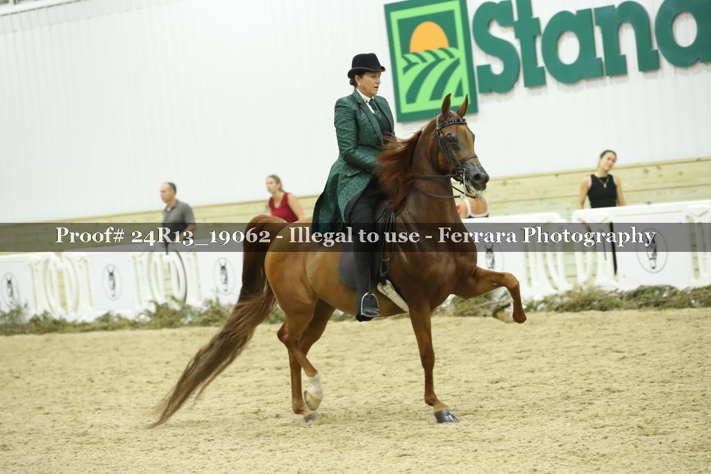 Proof 24R13_19062