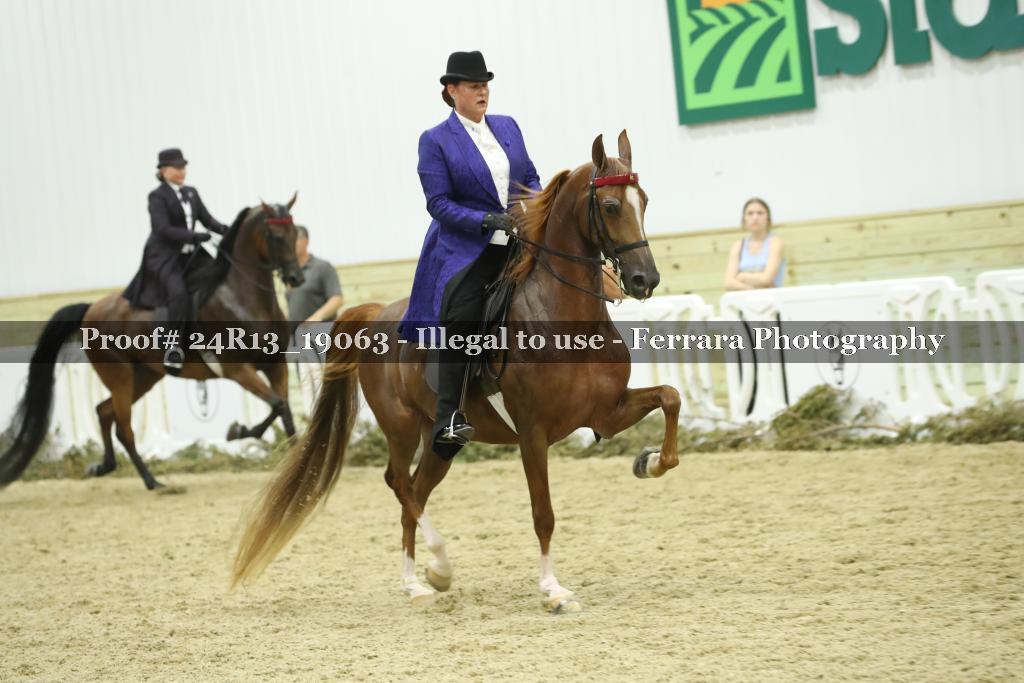 Proof 24R13_19063