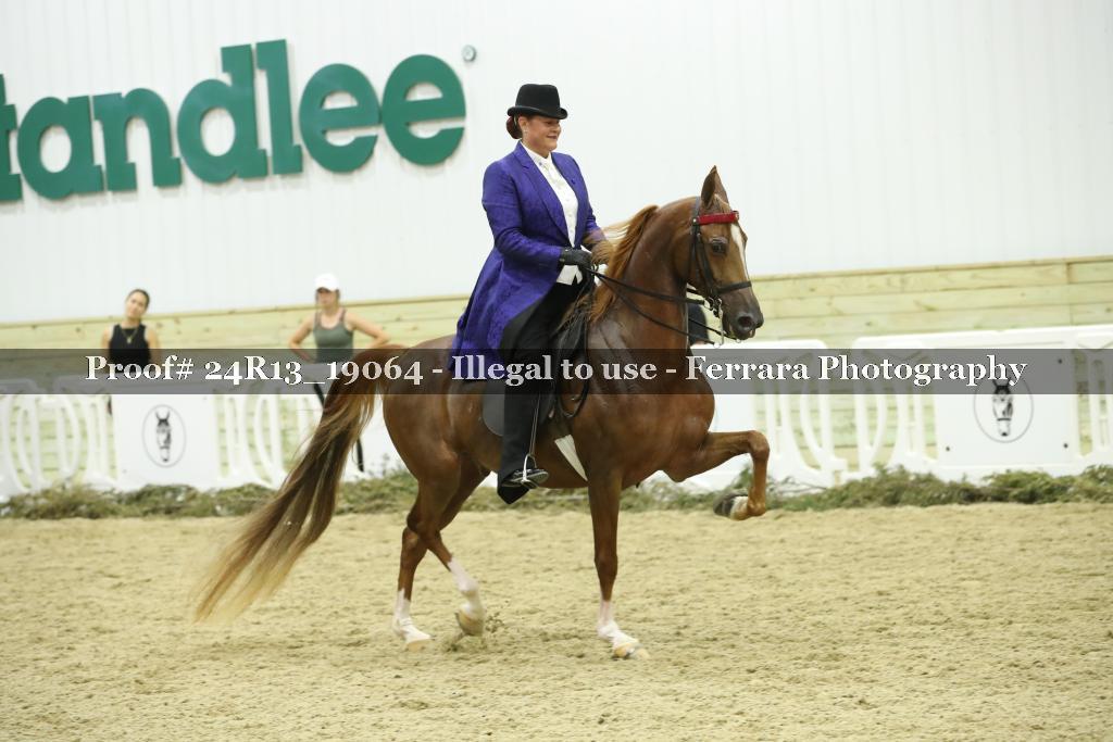 Proof 24R13_19064
