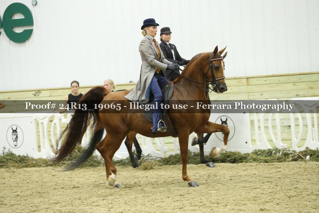 Proof 24R13_19065