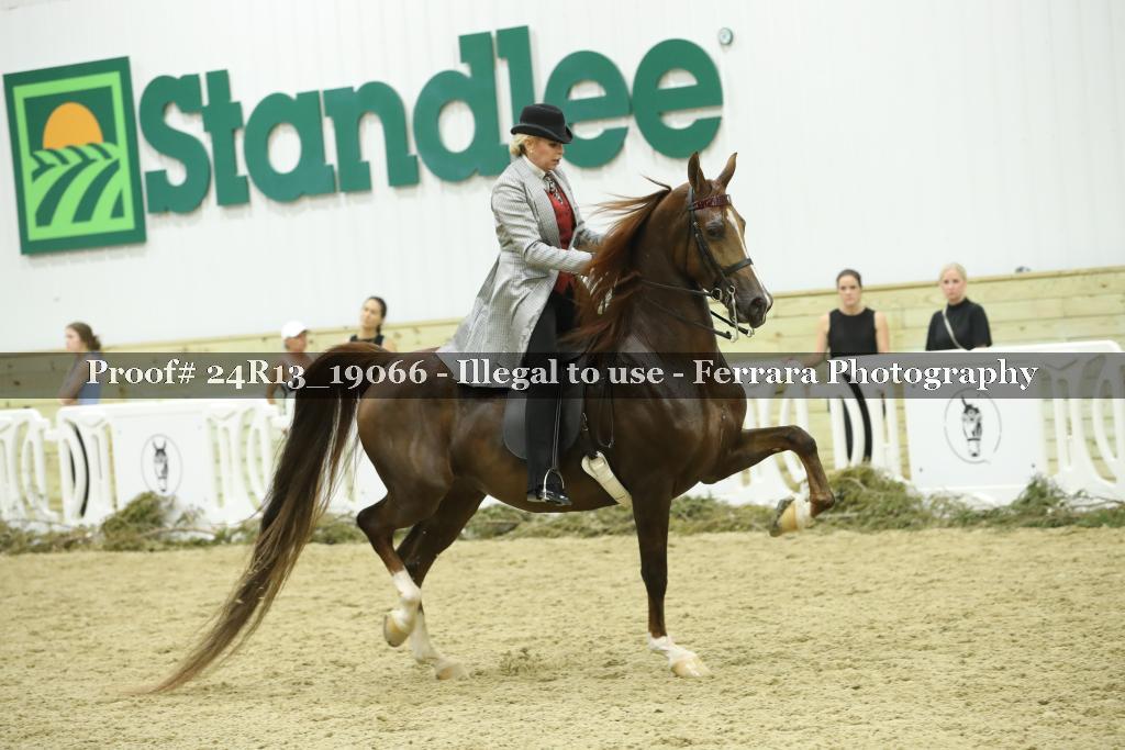Proof 24R13_19066