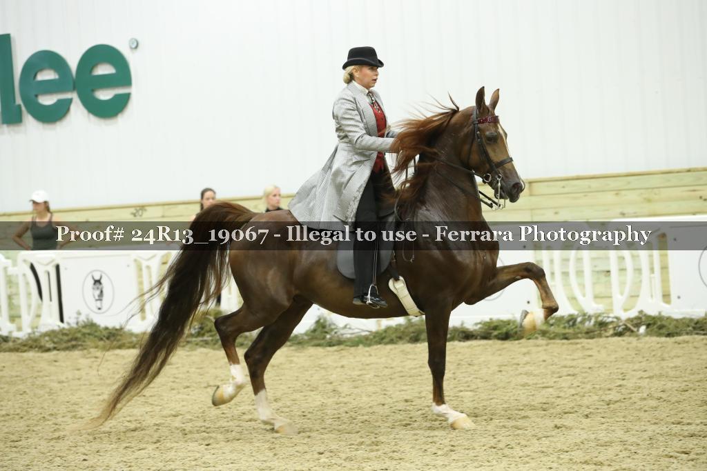 Proof 24R13_19067