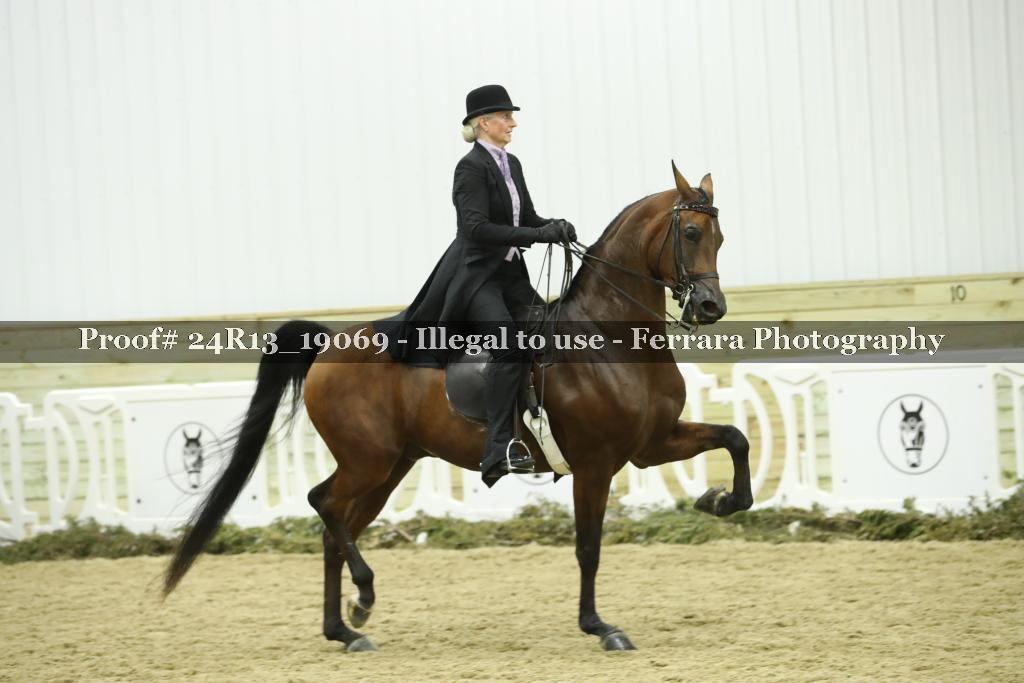 Proof 24R13_19069