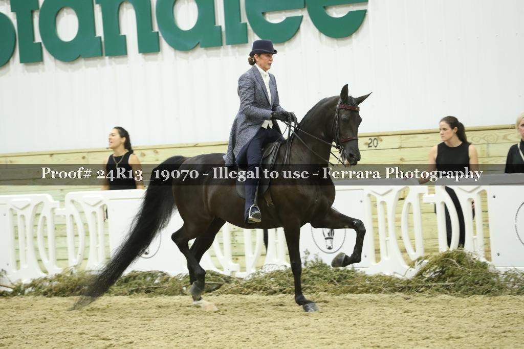 Proof 24R13_19070