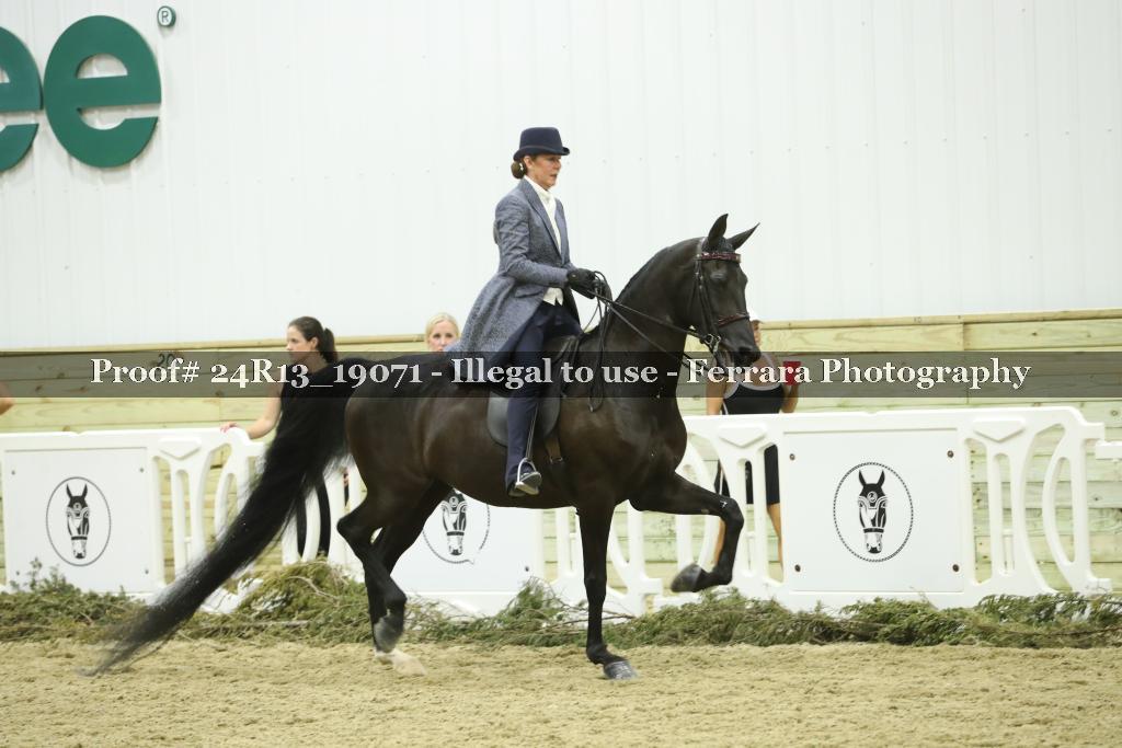 Proof 24R13_19071