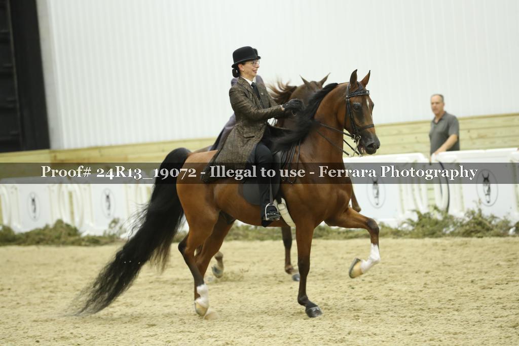 Proof 24R13_19072
