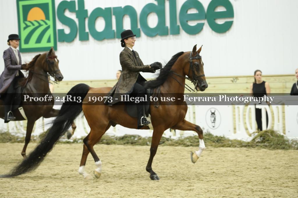 Proof 24R13_19073