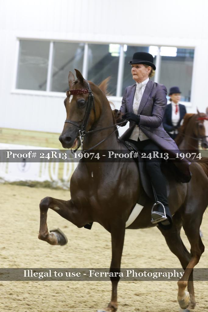 Proof 24R13_19074
