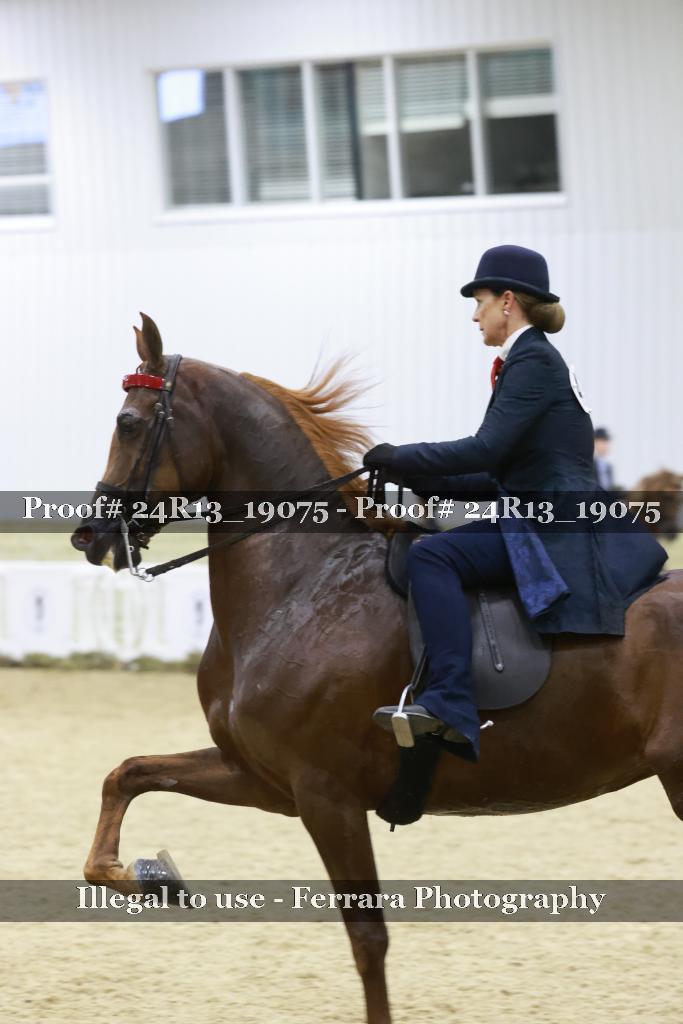Proof 24R13_19075