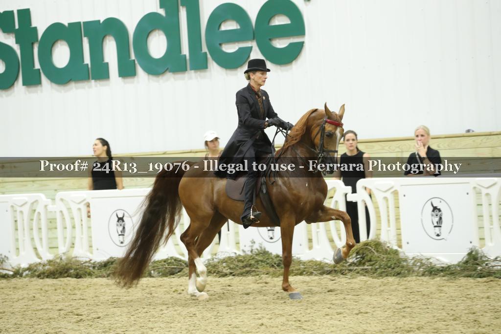 Proof 24R13_19076