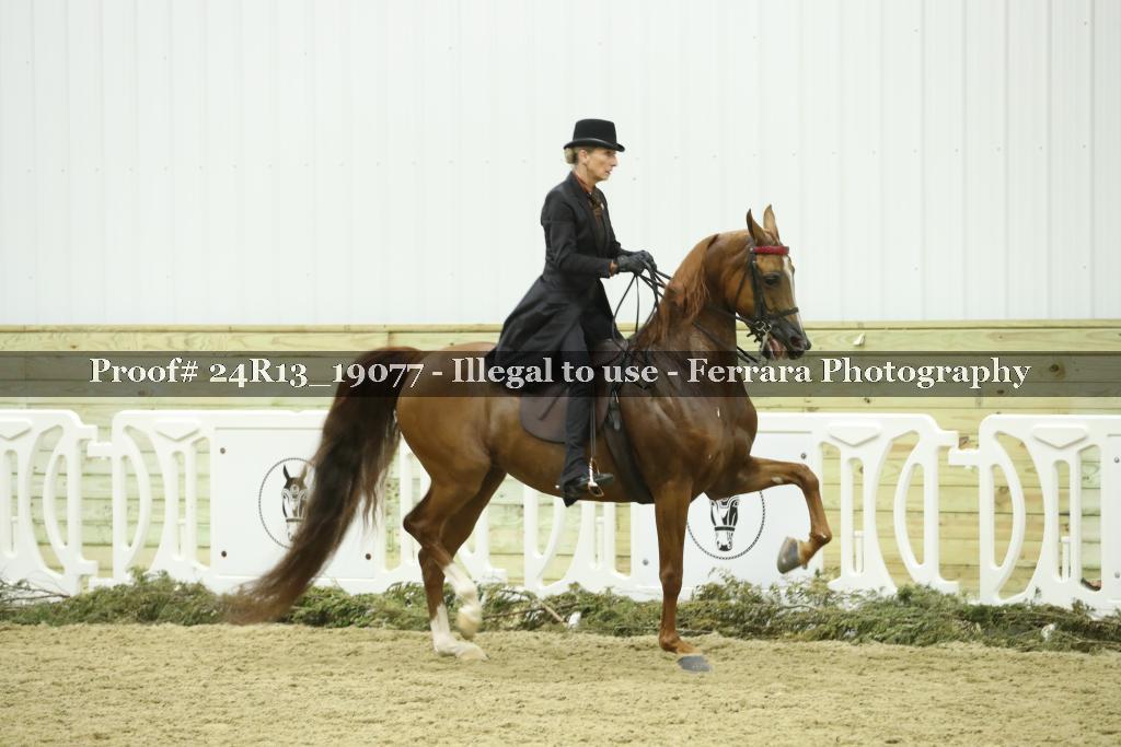 Proof 24R13_19077