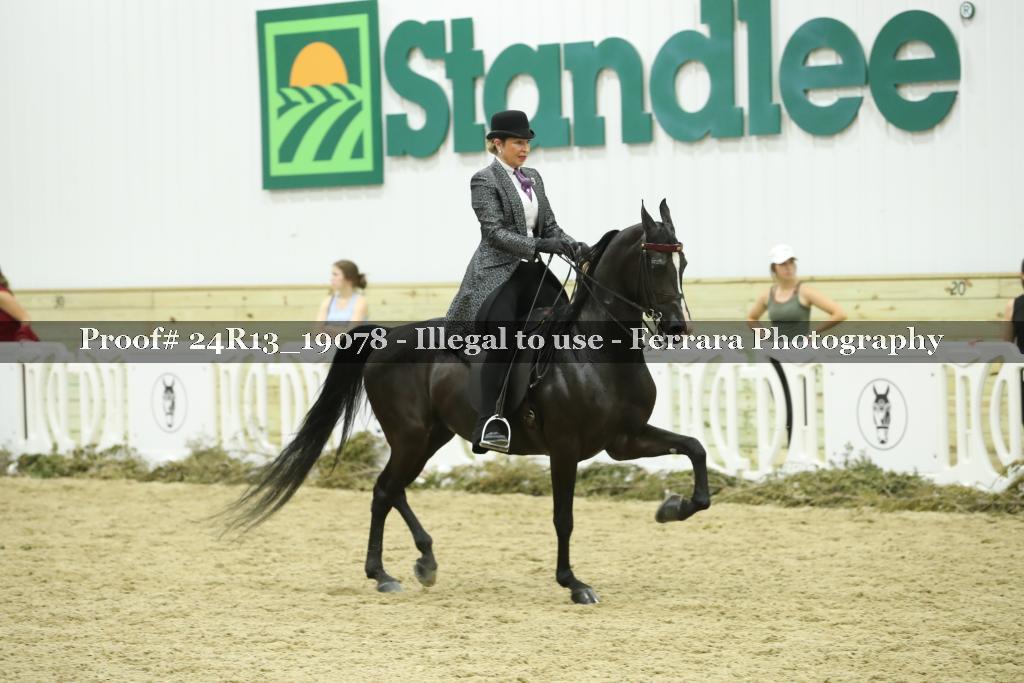 Proof 24R13_19078