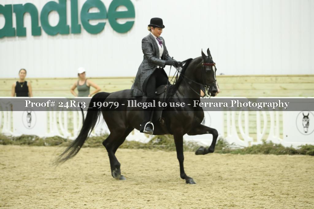 Proof 24R13_19079