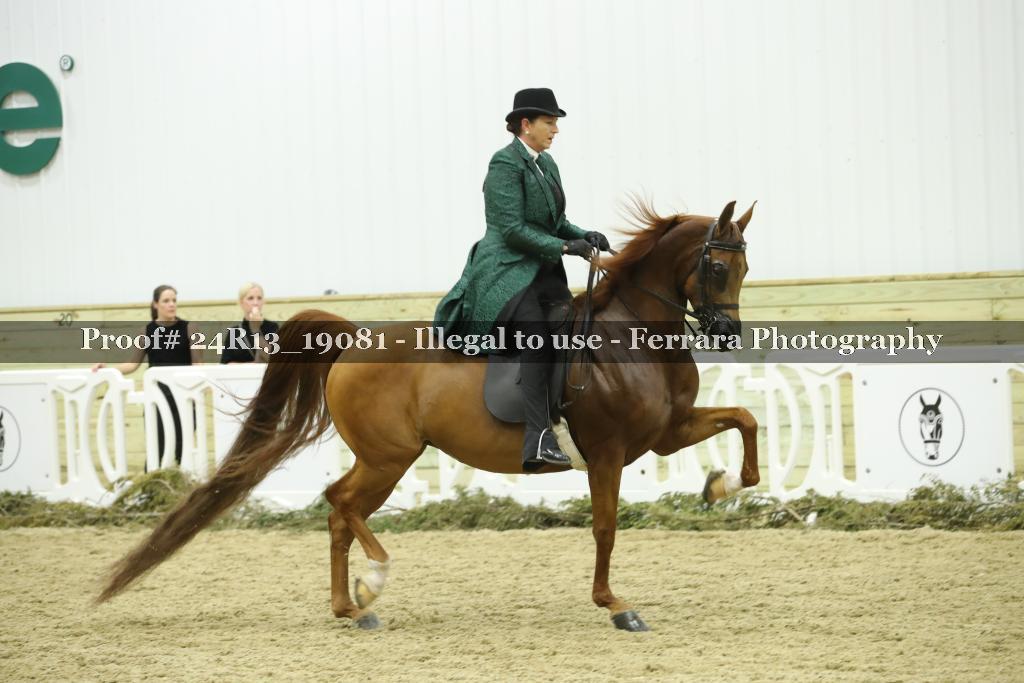 Proof 24R13_19081