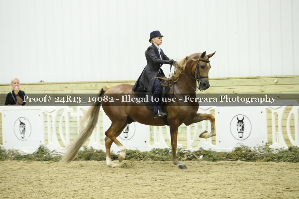 Proof 24R13_19082