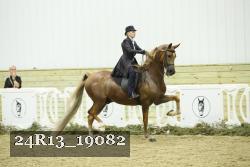 24R13_19082 proof
