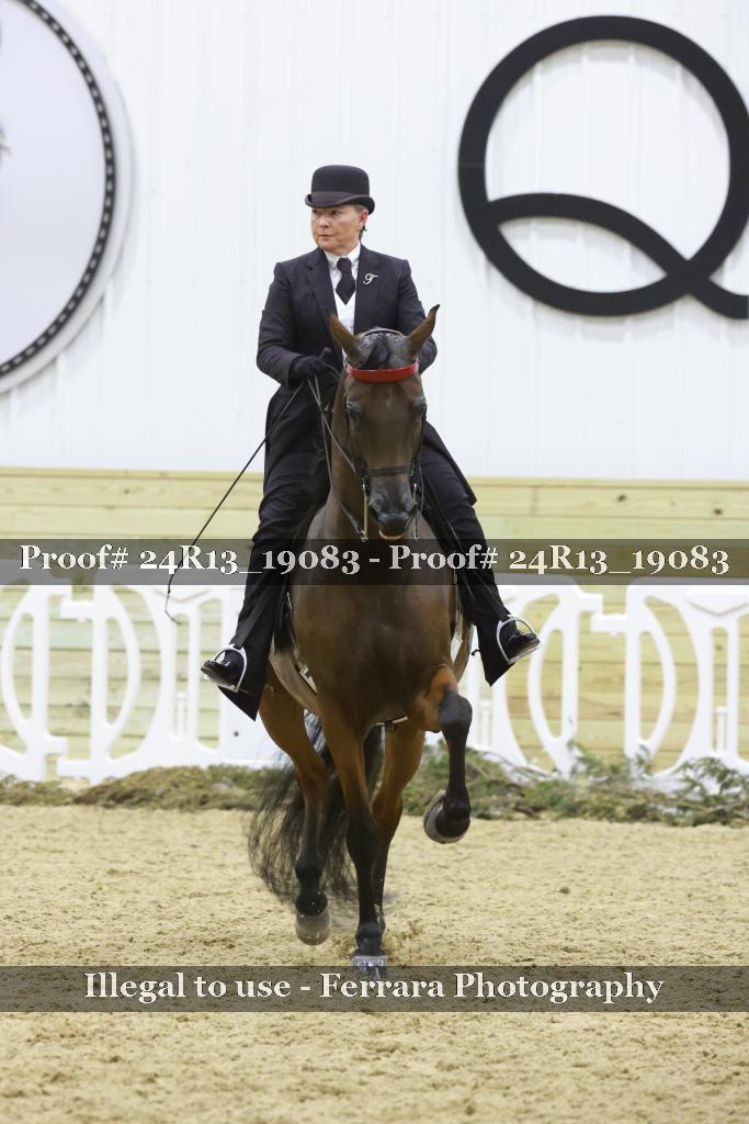 Proof 24R13_19083