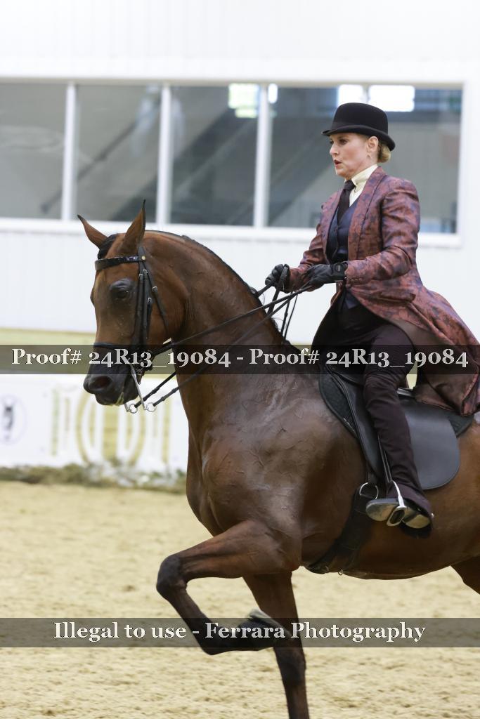 Proof 24R13_19084