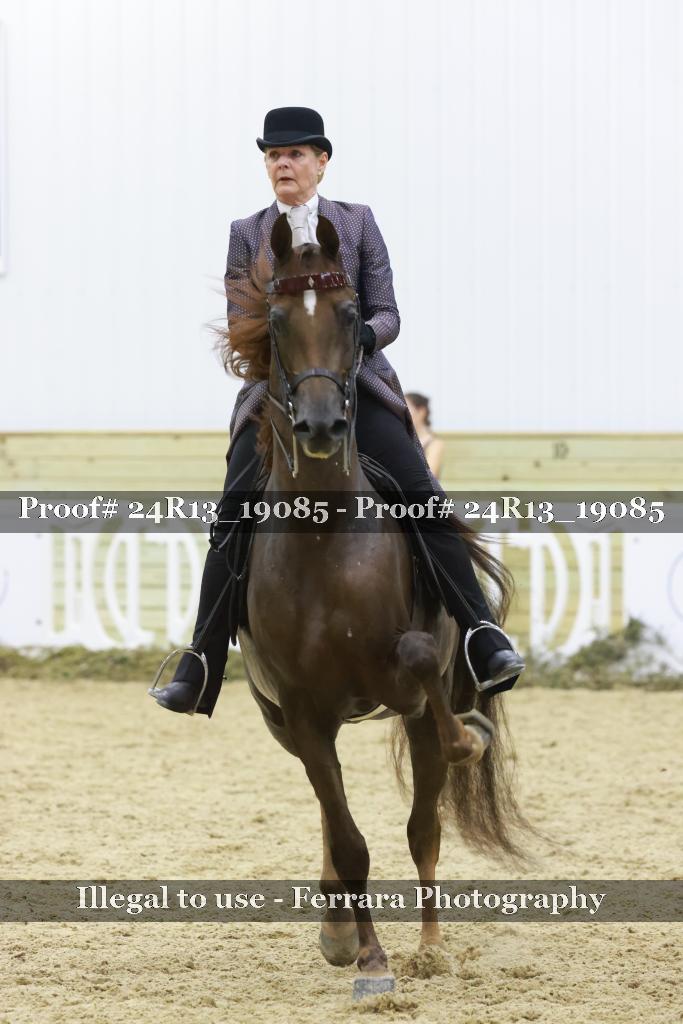 Proof 24R13_19085