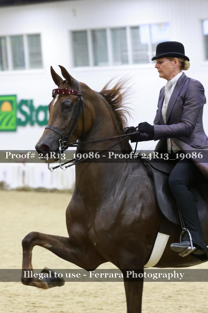 Proof 24R13_19086