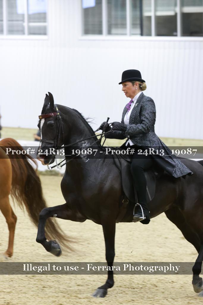 Proof 24R13_19087