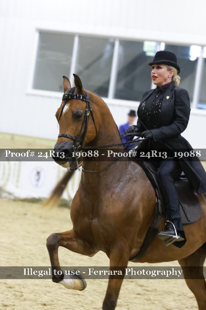 Proof 24R13_19088