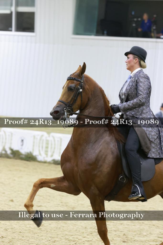 Proof 24R13_19089