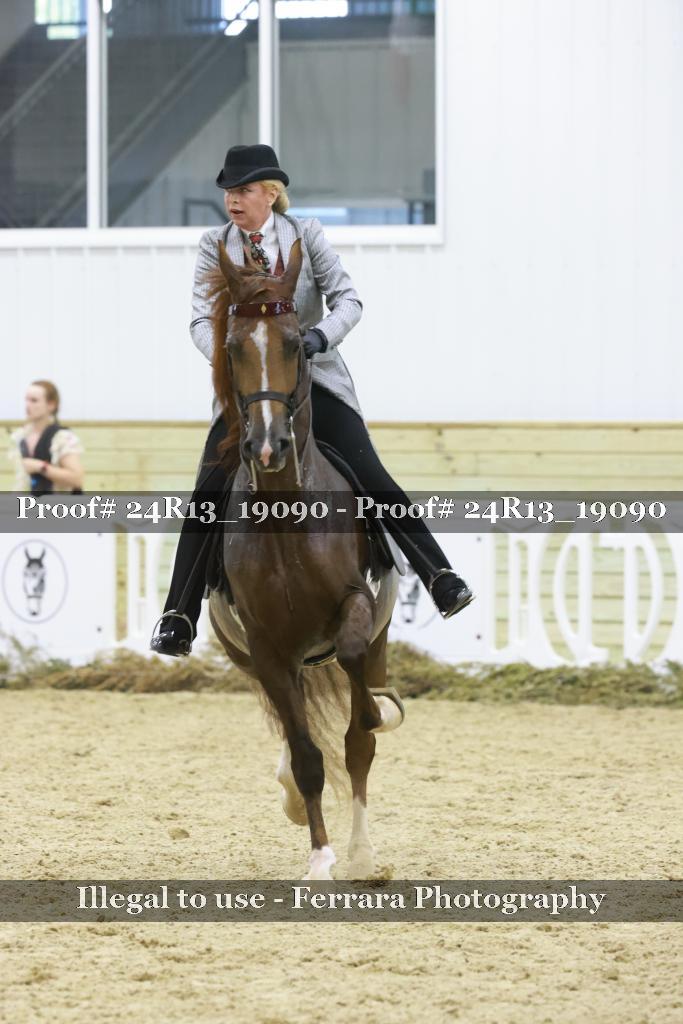 Proof 24R13_19090