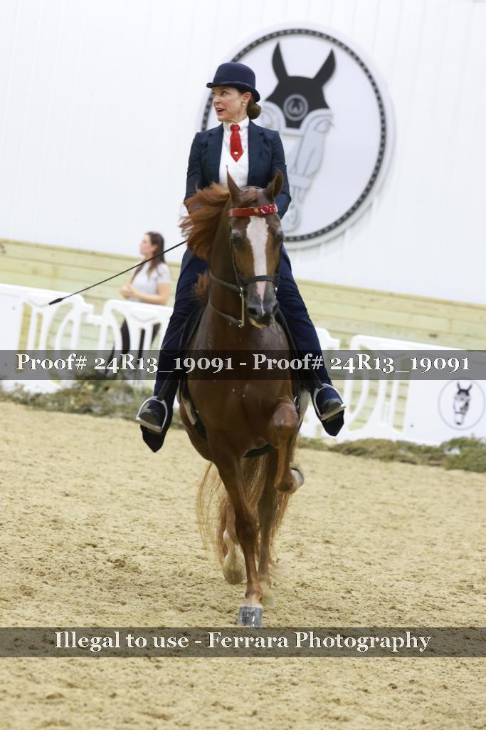 Proof 24R13_19091