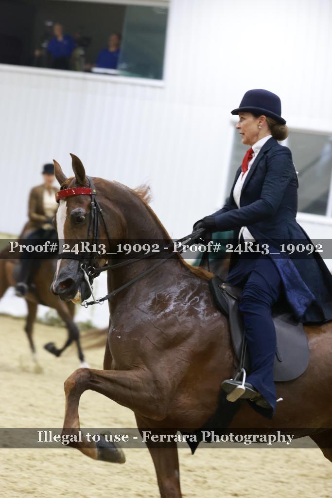 Proof 24R13_19092