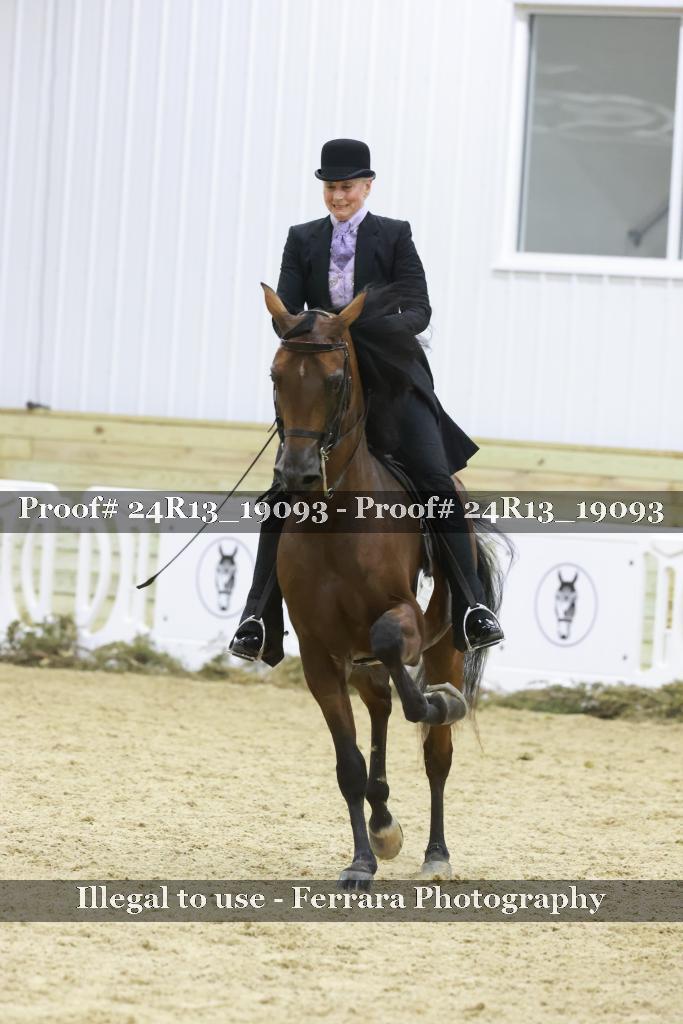 Proof 24R13_19093