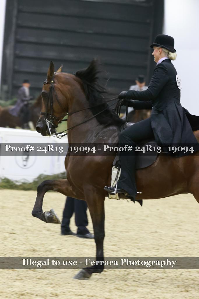 Proof 24R13_19094