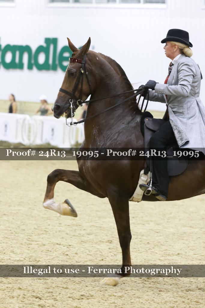 Proof 24R13_19095