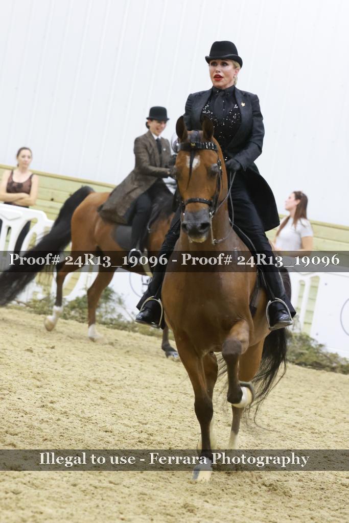Proof 24R13_19096