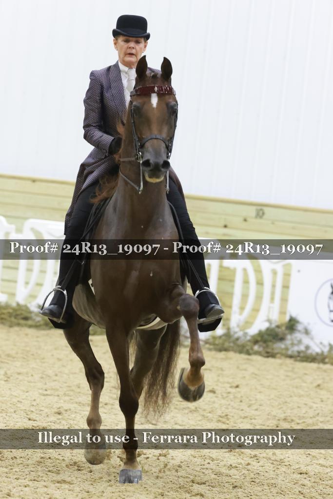 Proof 24R13_19097