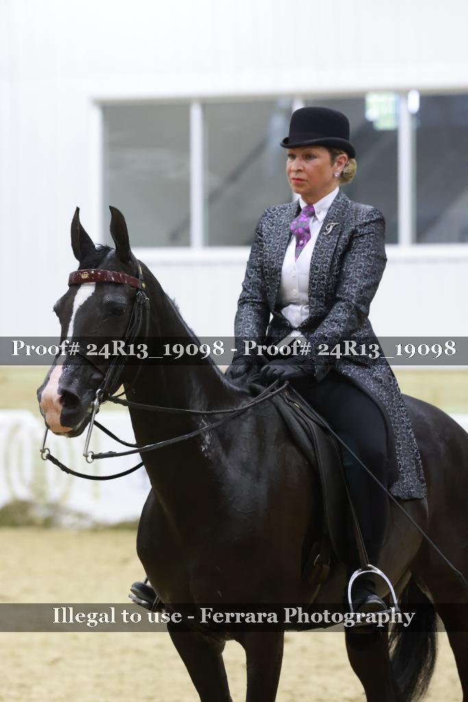 Proof 24R13_19098