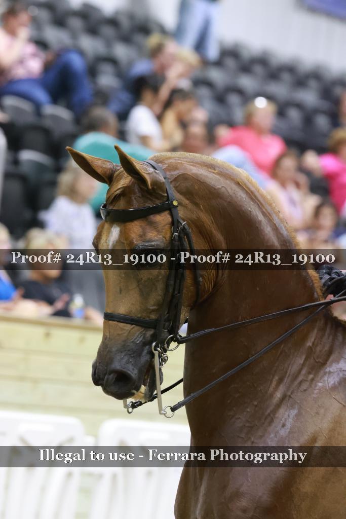 Proof 24R13_19100