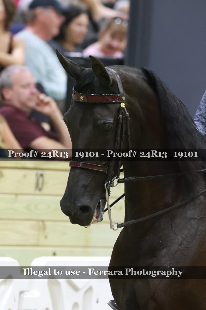 Proof 24R13_19101
