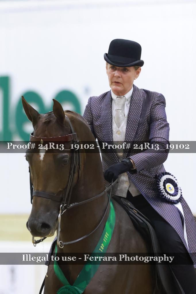 Proof 24R13_19102